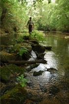 1655326743413 Midwest1