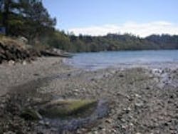 1655326754872 Puget Sound Fo160andfo150 Outfall2 1655326754872 Puget Sound Fo160andfo150 Outfall2