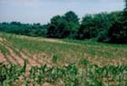 1655326757543 Slump 1655326757543 Slump