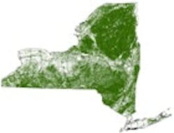 1655326757607 Forestedarea1 1655326757607 Forestedarea1