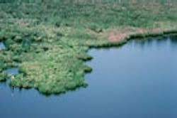 1655326761863 Chesapeakebaywetlandsh 1655326761863 Chesapeakebaywetlandsh