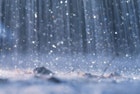 1655326762995 Rain