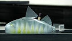 1655326763364 Robotfish 1655326763364 Robotfish