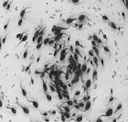 1655326767017 Tadpoleimage Sm 1655326767017 Tadpoleimage Sm