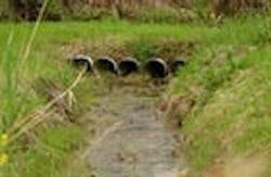 1655326768620 Altaire211071 1655326768620 Altaire211071