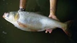 1655326771921 20051103111001 1655326771921 20051103111001