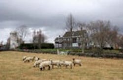 1655326772824 Treaty Farm2 1655326772824 Treaty Farm2