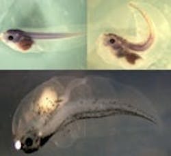 1655326775381 Br51 1655326775381 Br51