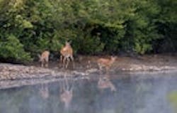 1655326782501 0209rivreflect1 1655326782501 0209rivreflect1