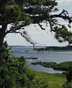 1655326782768 Plebay 1655326782768 Plebay