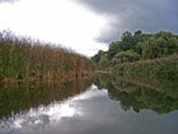 1655326786301 Wetlands1sm 1655326786301 Wetlands1sm