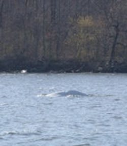 1655326786780 Helishoriz1 1655326786780 Helishoriz1