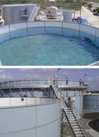 1655326791366 Aruba Wwd Case Study