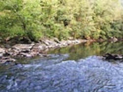 1655326791813 Etheostoma 1655326791813 Etheostoma