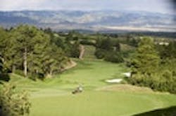 1655326794062 Wfp Sanctuary 2010 1655326794062 Wfp Sanctuary 2010