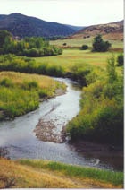 1655326797027 Chalkcreek1