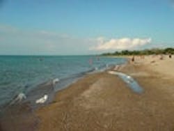 1655326798091 Eriebeach1 1655326798091 Eriebeach1