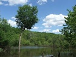 1655326806259 Iowa River 1655326806259 Iowa River