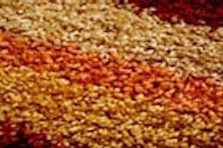 1655326809127 Carpet Texture 5 1655326809127 Carpet Texture 5