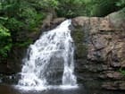 waterfall_in_pennsylvania