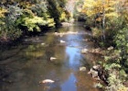 1655326812967 Appalachian Stream 1655326812967 Appalachian Stream