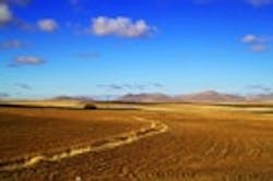 1655326816899 Wheat 1655326816899 Wheat