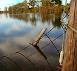 1655326820317 4571347812 91bfb99a95 1655326820317 4571347812 91bfb99a95