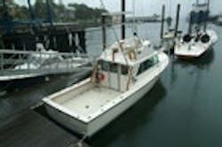 1655326821408 Dottiejlg 1655326821408 Dottiejlg