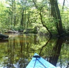 1655326823774 Kayak2