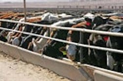 1655326825002 Images13 1655326825002 Images13