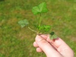 1655326831012 1175262 17700324 1655326831012 1175262 17700324