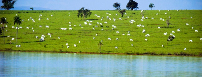 1655326833865 Epalaunchesrevampedsustainablewater Web