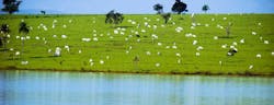 1655326833865 Epalaunchesrevampedsustainablewater Web 1655326833865 Epalaunchesrevampedsustainablewater Web