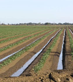 1655326840796 1119georgiairrigation 1655326840796 1119georgiairrigation