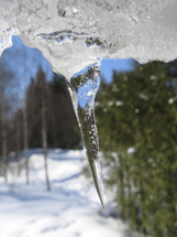 1655326841391 Drippingicicle