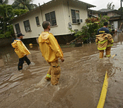 1655326841597 1106hawaiiwoes1