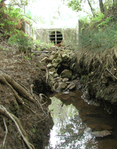 1655326843646 1128charlottestormwater