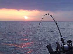 1655326928394 349428 6556 1655326928394 349428 6556