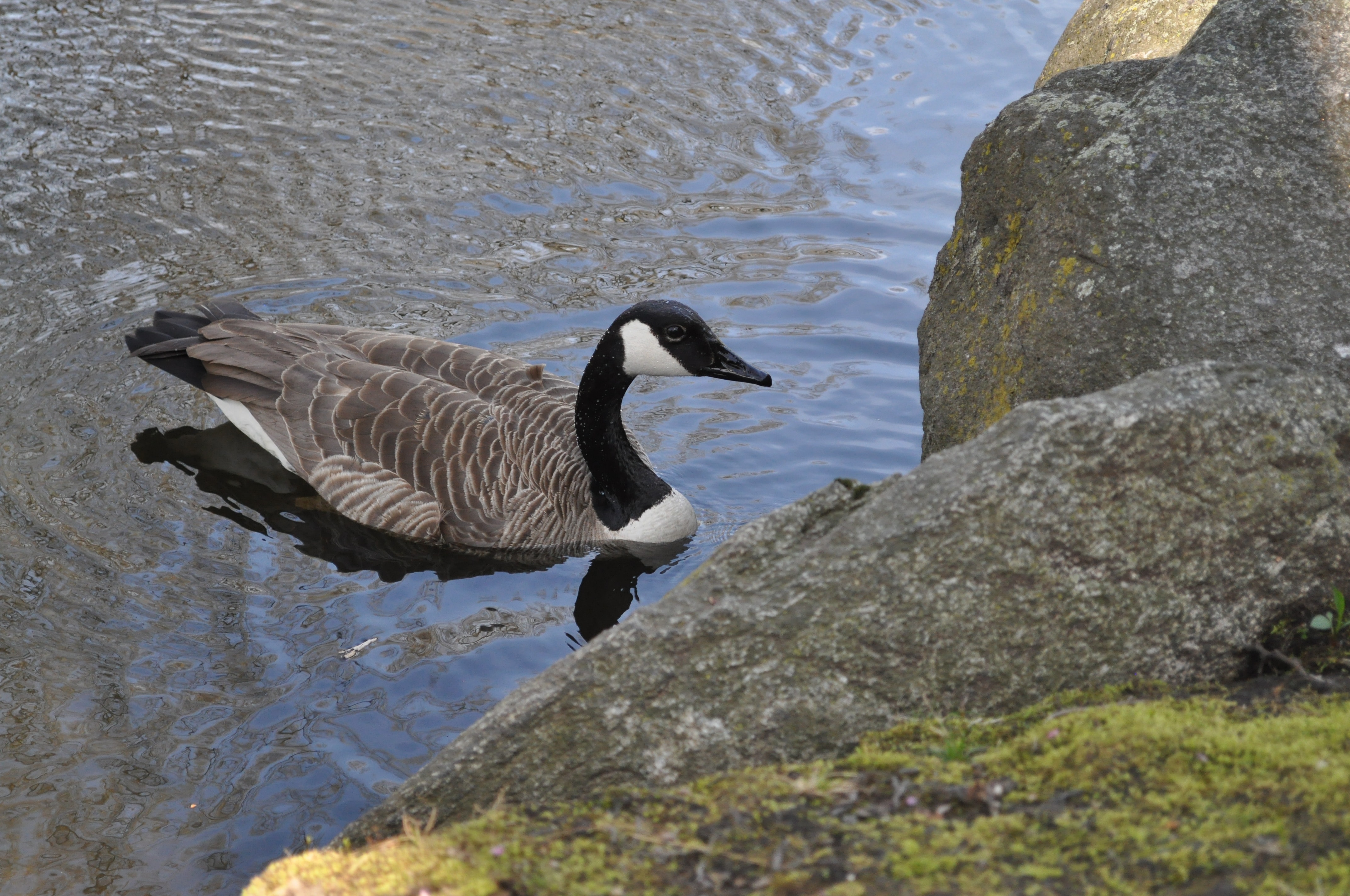 1655326933866 1281052 98512857