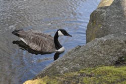 1655326933866 1281052 98512857 1655326933866 1281052 98512857