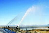 1655326937451 Dbe1000anr Edit 0