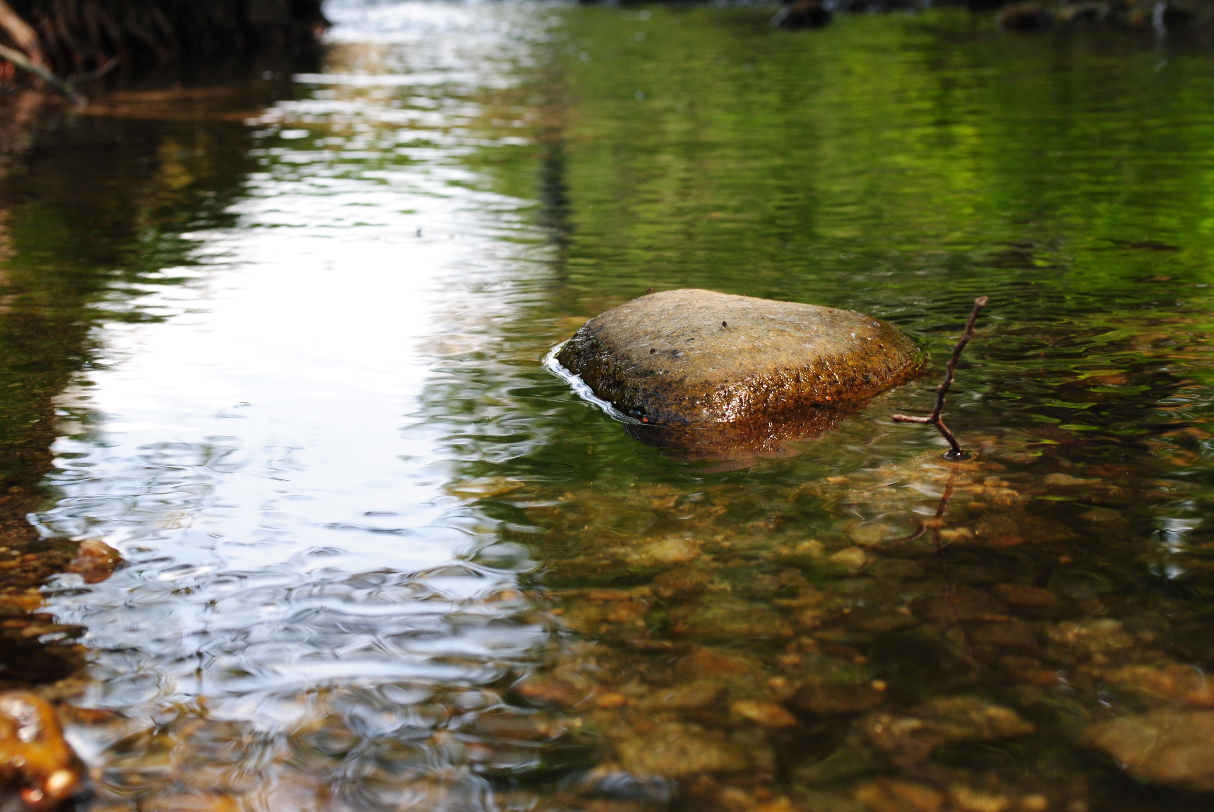 1655327021880 1351529 76020328 0