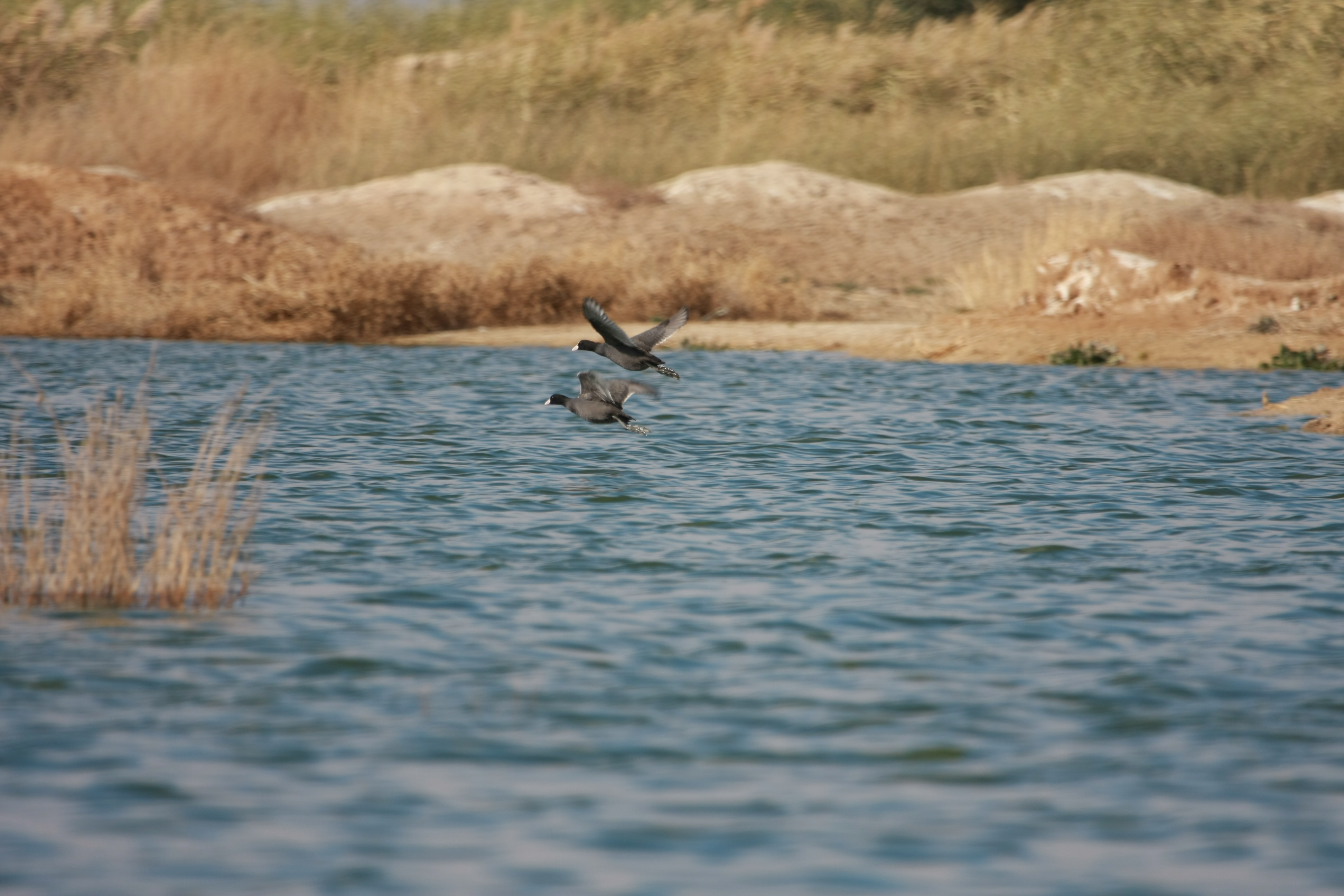 1655327029282 1276799 14097531