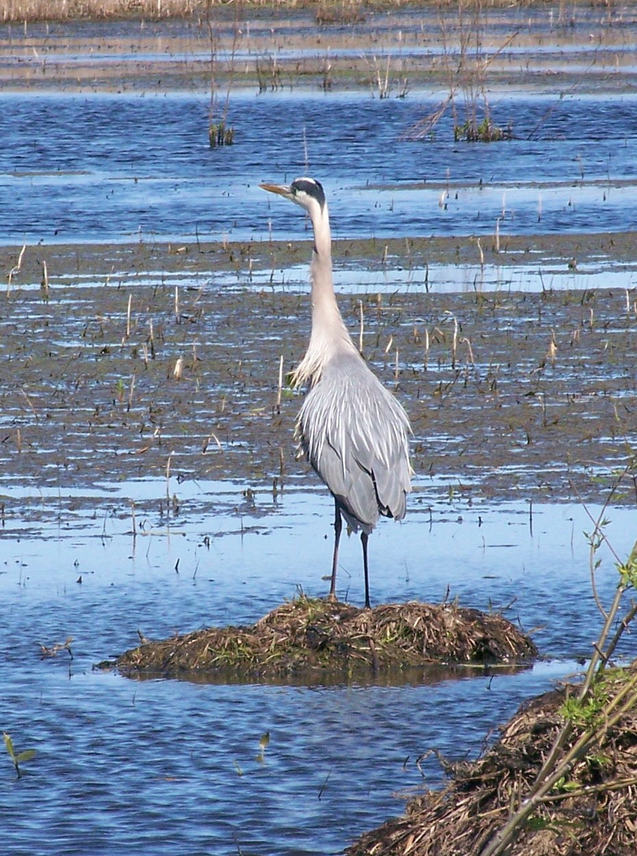 1655327030883 910449 55014306