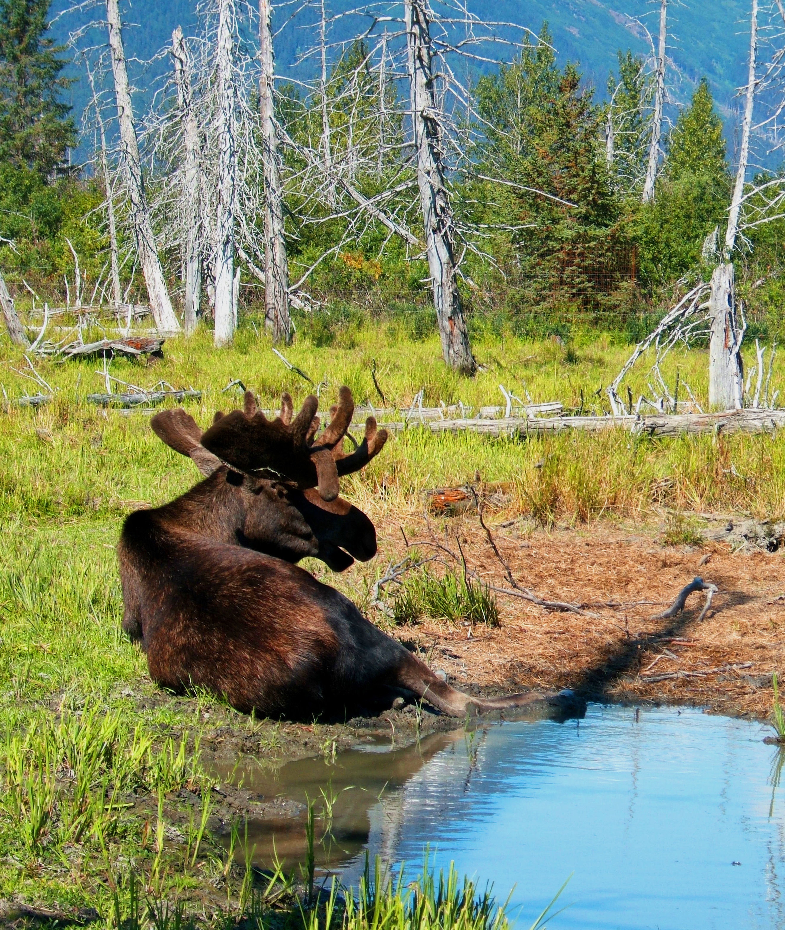 1655327047792 848158 30686907