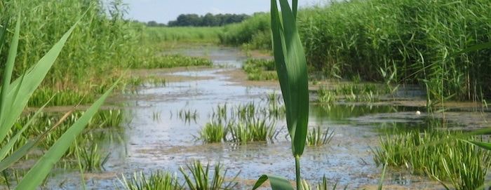 1655327055191 Duplicate 1