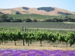 1655327059444 Dd 1655327059444 Dd