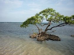 1655327063259 Dup 31 1655327063259 Dup 31