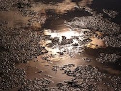 1655327064979 Dup 33 1655327064979 Dup 33