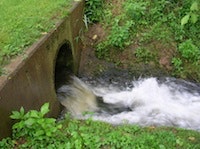 1655327115302 Dup 54